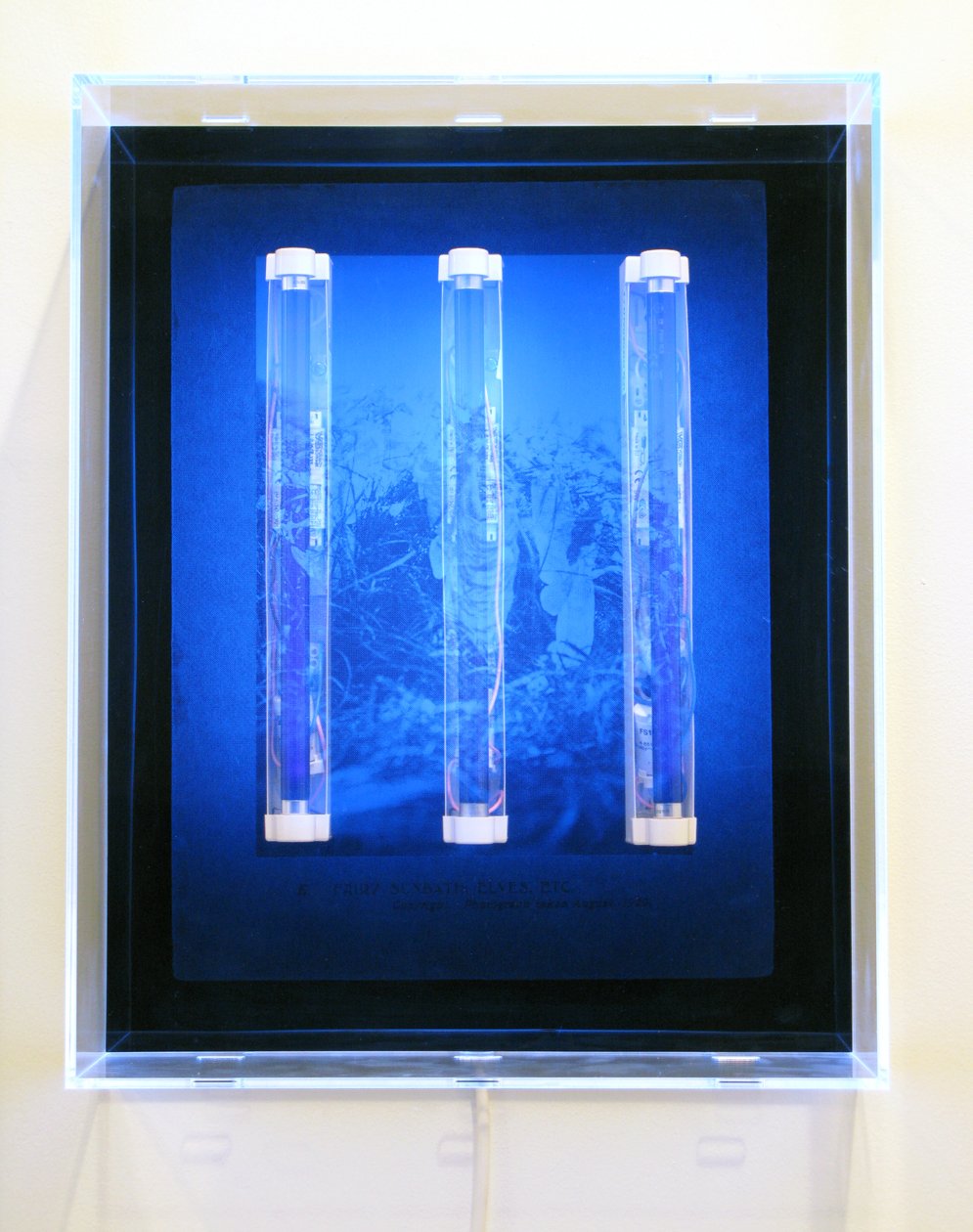 UV Garden, Fairy, Sunbath, Elves, Etc., 2008 (Serigrafía sobre acrílico, luz UV y luminarias) de Mat Collishaw