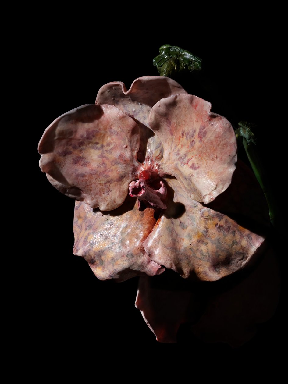 Venal Muse, Impetus, 2012 (resina, pintura esmaltada, madera, vidrio, acero) de Mat Collishaw