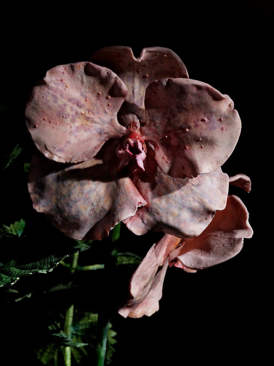 Venal Muse, Impetus, 2012 (resina, pintura esmaltada, madera, vidrio, acero) de Mat Collishaw