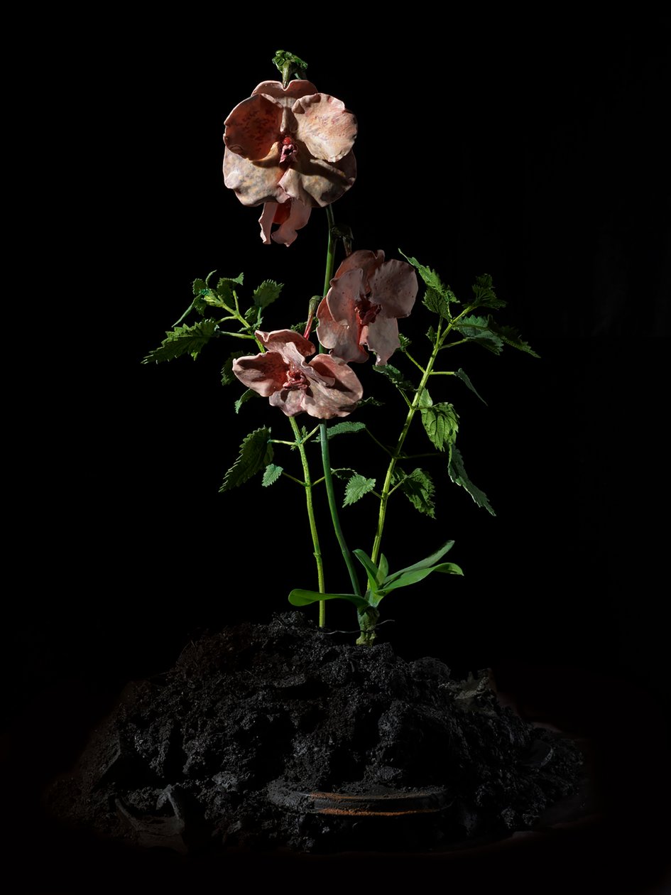 Venal Muse, Impetus, 2012 (resina, pintura esmaltada, madera, vidrio, acero) de Mat Collishaw