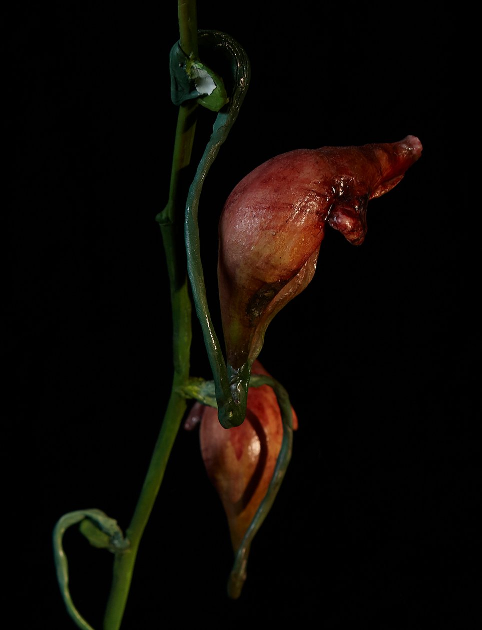 Venal Muse, Lafage, 2012 (resina, pintura esmaltada, madera, vidrio, acero) de Mat Collishaw