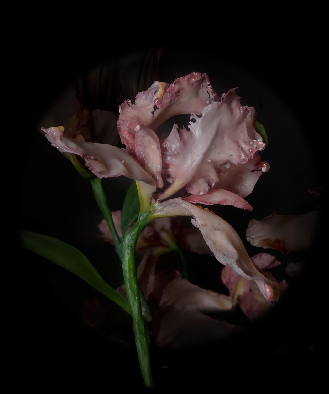 Venal Muse, Viridor, 2012 (resina, pintura esmaltada, madera, vidrio, acero) de Mat Collishaw