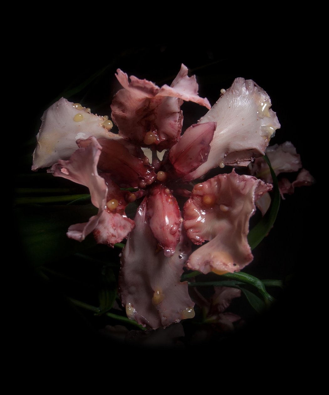 Venal Muse, Viridor, 2012 (resina, pintura esmaltada, madera, vidrio, acero) de Mat Collishaw