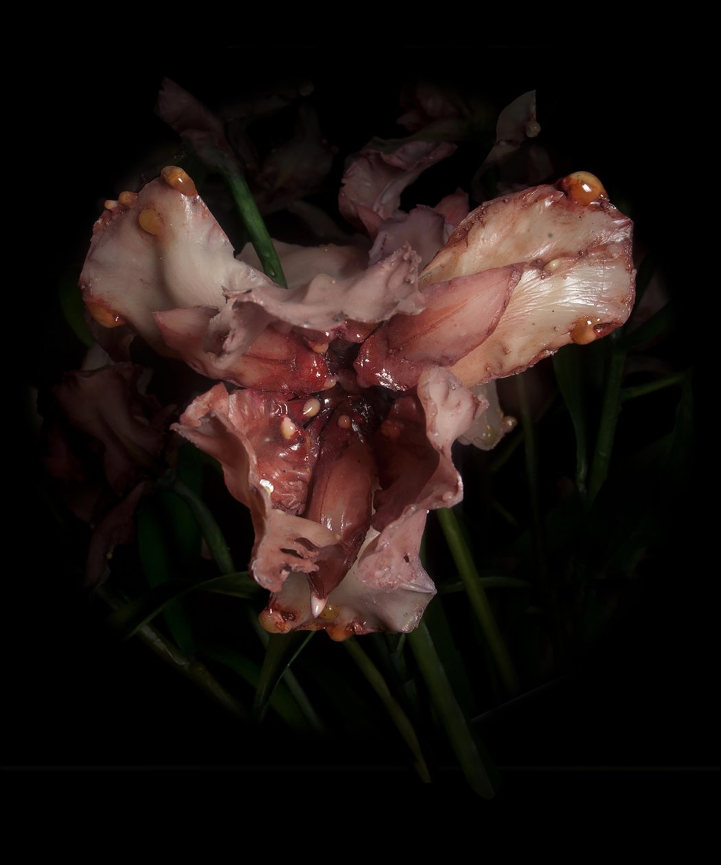 Venal Muse, Viridor, 2012 (resina, pintura esmaltada, madera, vidrio, acero) de Mat Collishaw