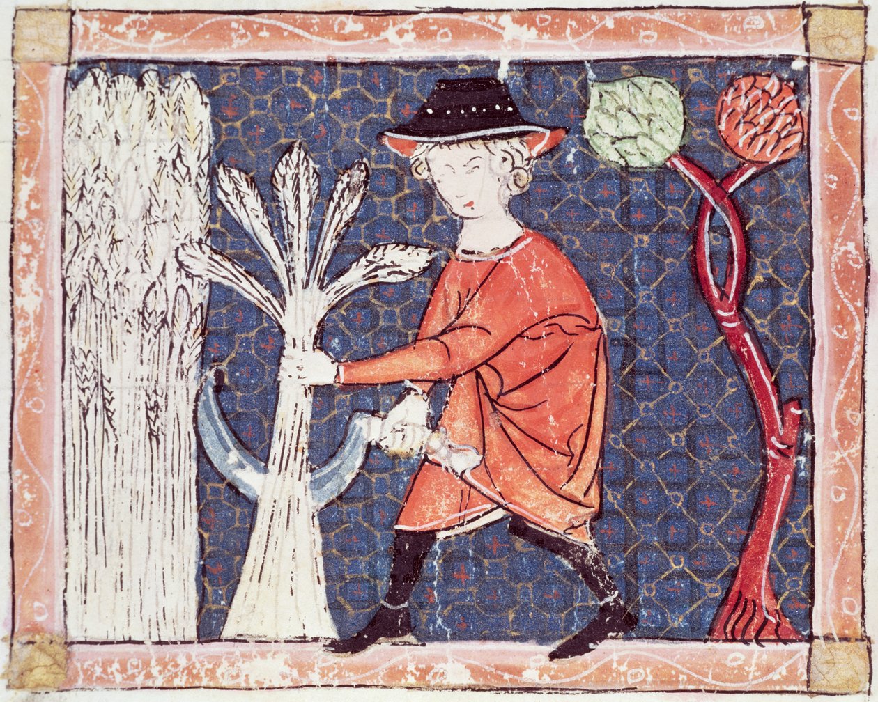Fol.58v Julio: La Cosecha de Matfre Ermengaut