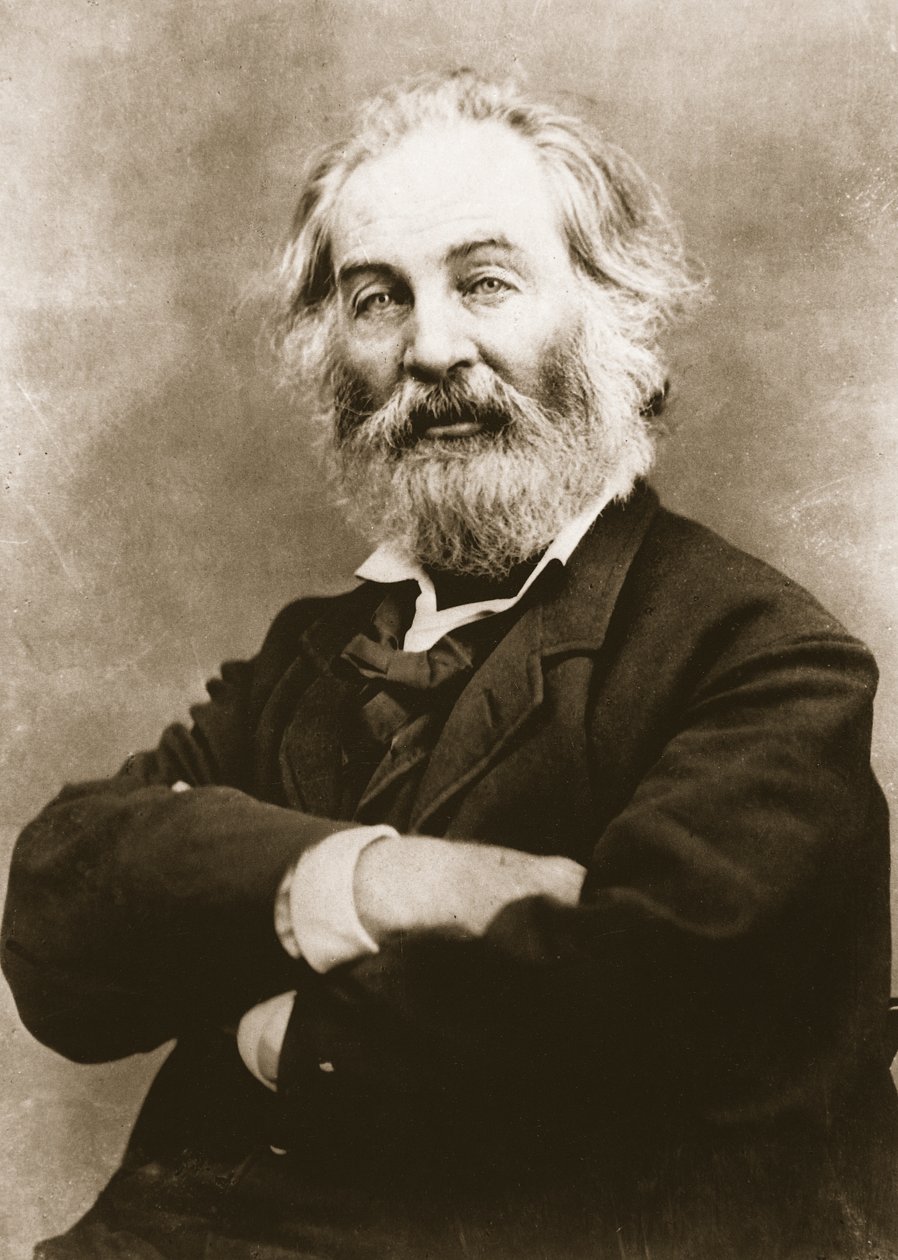 Walt Whitman de Mathew B. Brady