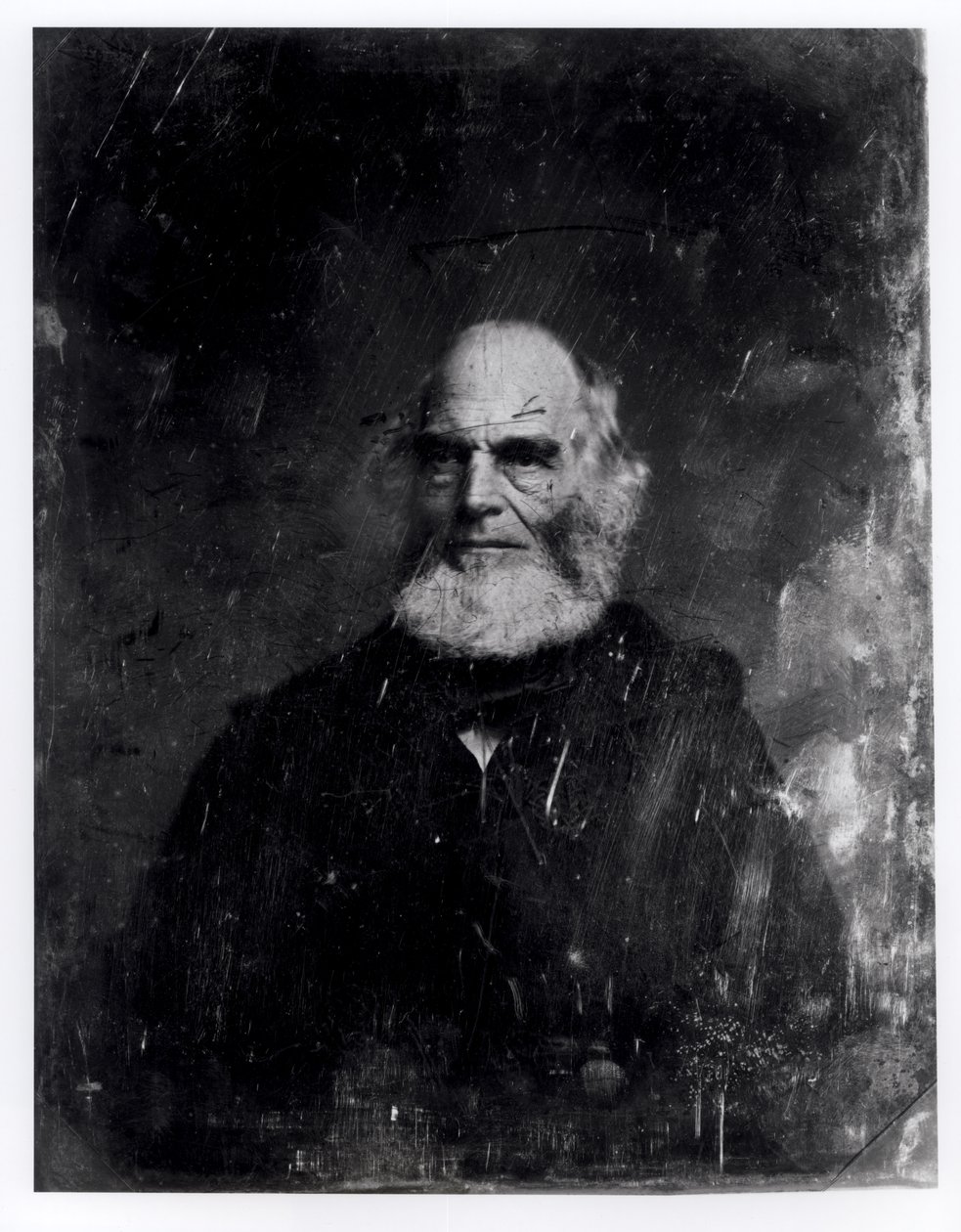 William Cullen Bryant (1794-1878) c.1851-60 de Mathew B. Brady