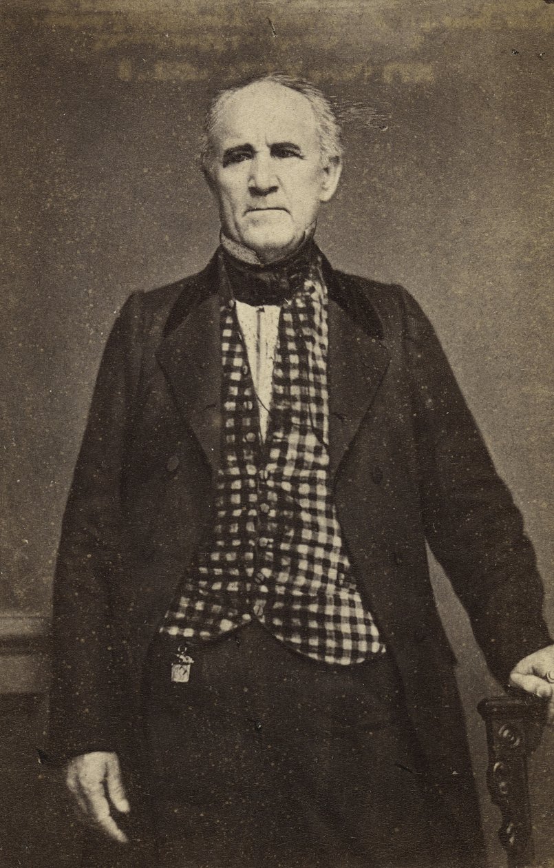 Sam Houston, c.1860-65 de Mathew B. Brady