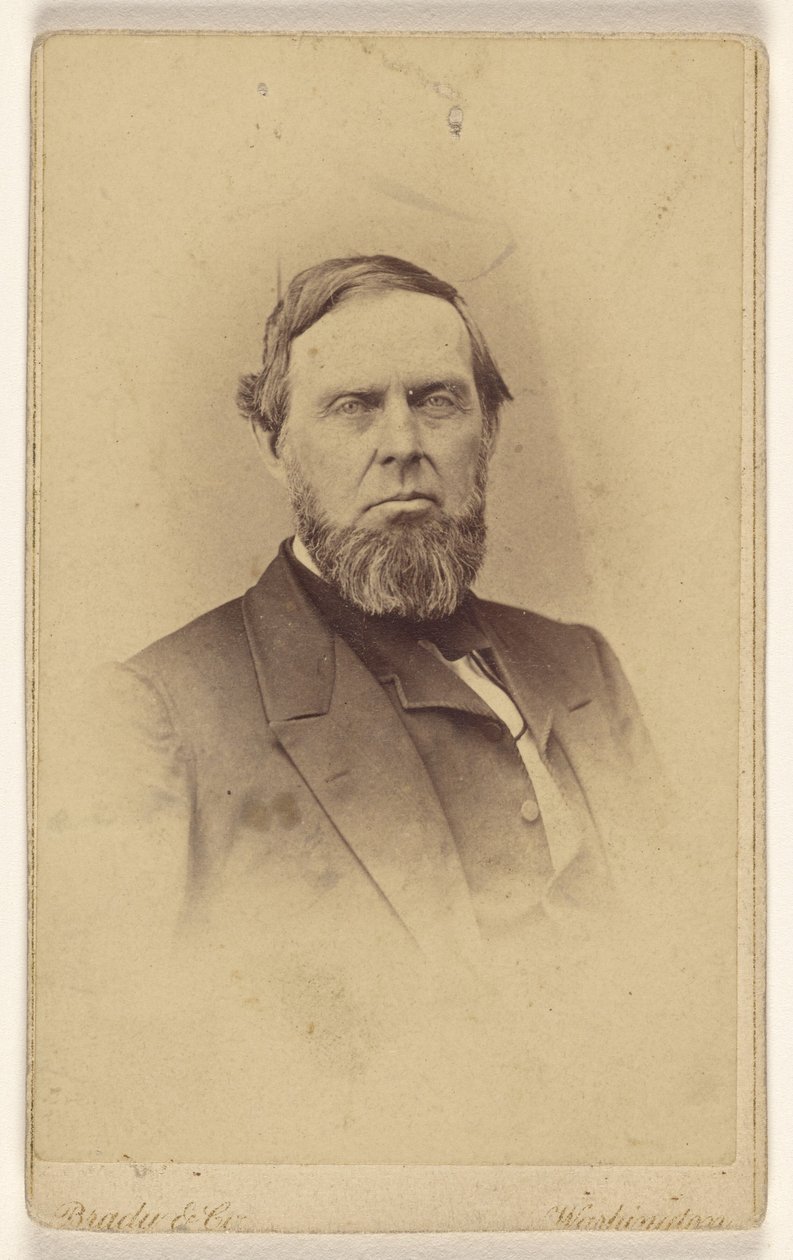 [Hombre barbudo no identificado, representado al estilo de una viñeta] de Mathew B. Brady