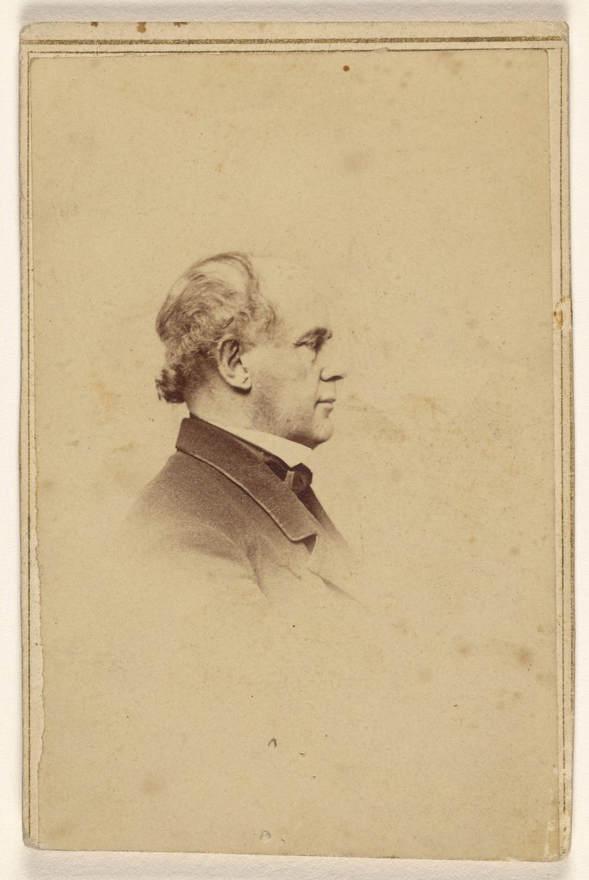[Hombre no identificado de perfil, impreso en estilo de viñeta] de Mathew B. Brady