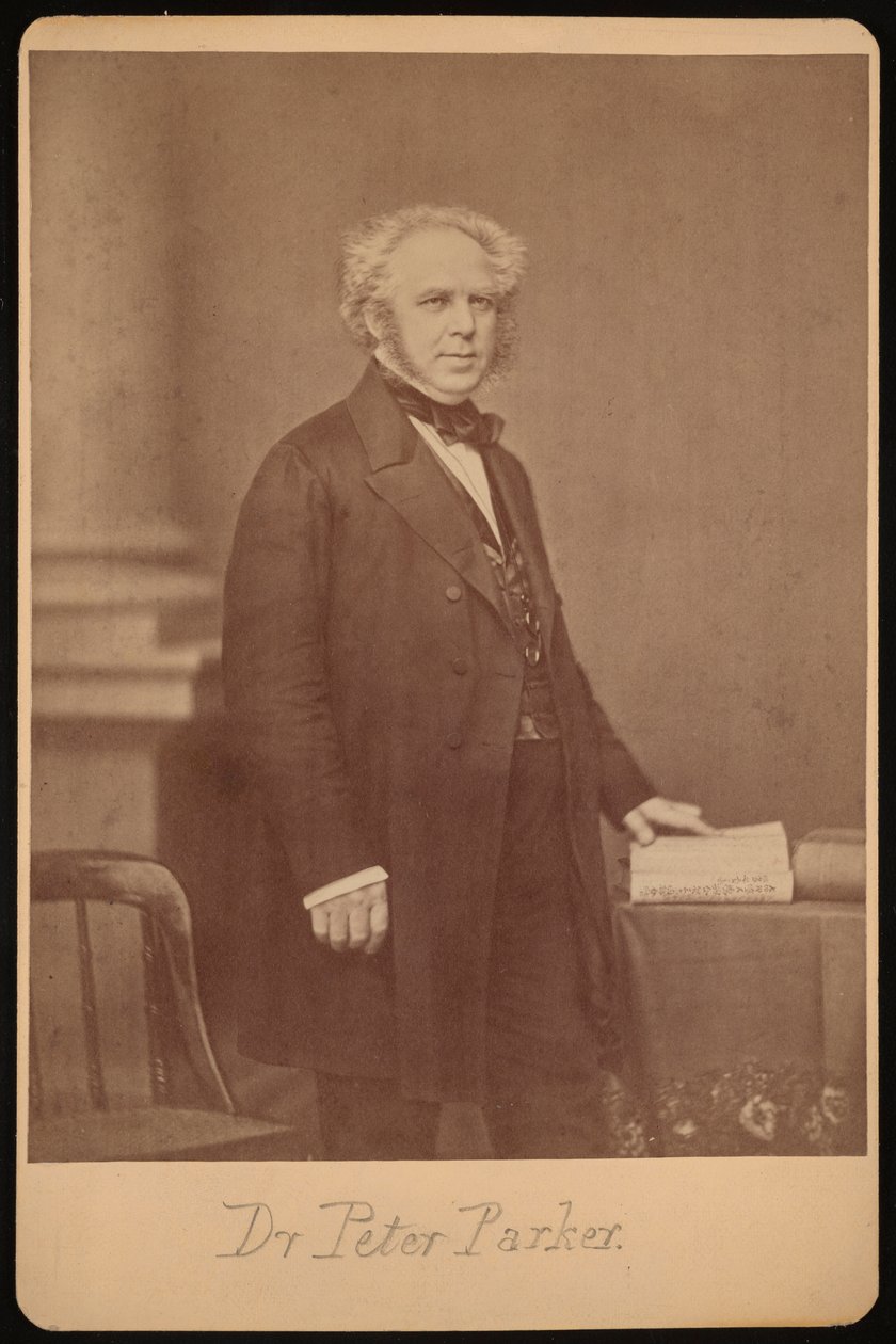 Retrato de Peter Parker 1804-1888, antes de 1888 de Mathew Brady