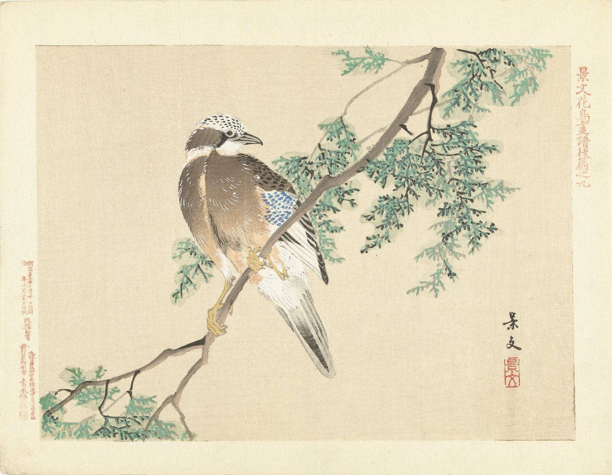 Jay en una rama de Matsumura Keibun
