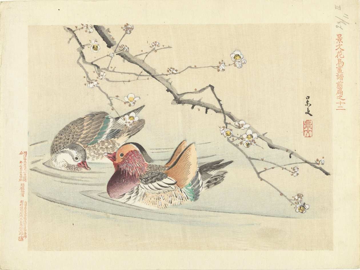 dos patos Bocetos de flores y pájaros de Keibun, primera parte (título de la serie) Keibun kacho gafu zen pen (título de la serie en el objeto) de Matsumura Keibun