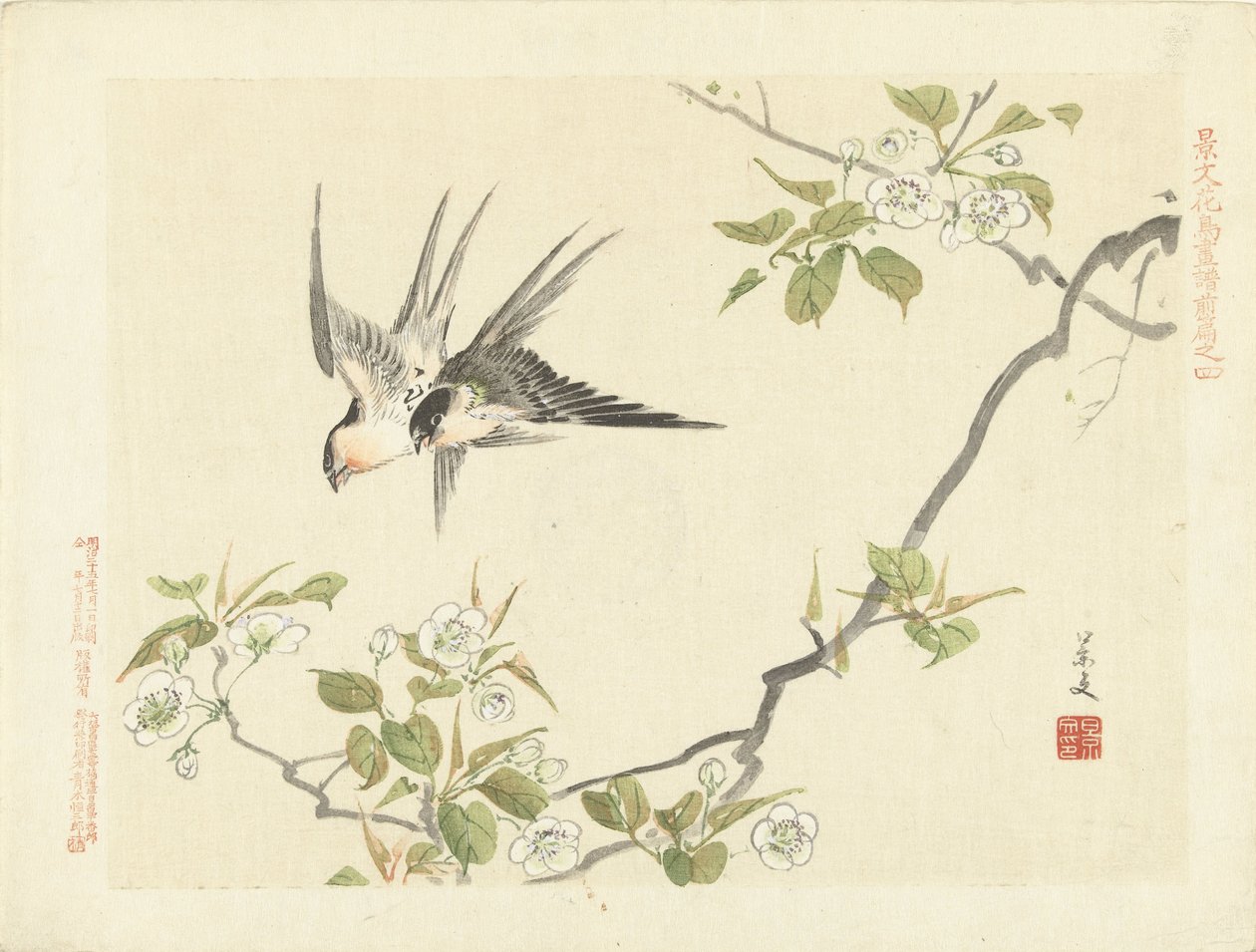 dos golondrinas Bocetos de flores y pájaros de Keibun, primera parte (título de la serie) Keibun kacho gafu zen pen (título de la serie en el objeto) de Matsumura Keibun