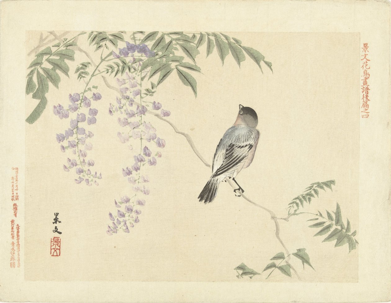 Pájaro en rama de glicina Bocetos de flores y pájaros de Keibun - tercera parte (título de la serie) Keibun kacho gafu kohen (título de la serie sobre el objeto) de Matsumura Keibun