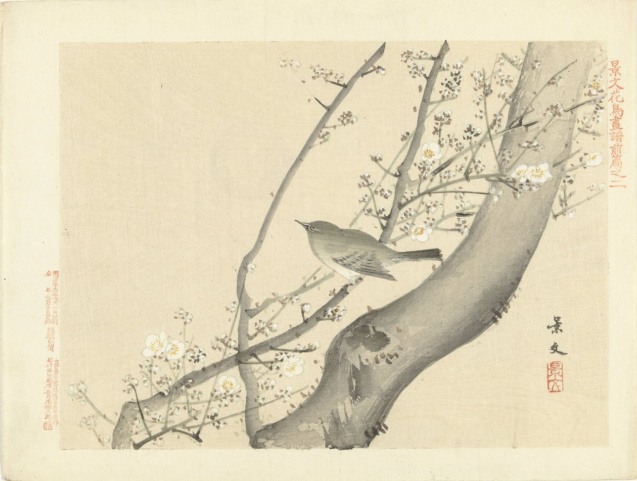 Pájaro en árbol con flor blanca Bocetos de flores y pájaros de Keibun, primera parte (título de la serie) Keibun kacho gafu zen pen (título de la serie en el objeto) de Matsumura Keibun