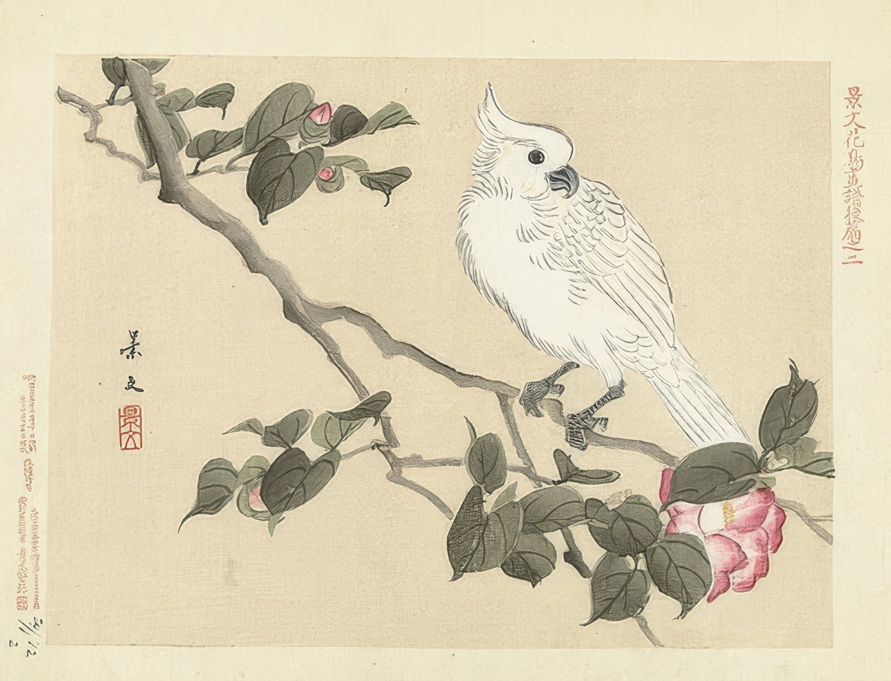 Cacatúa blanca en una rama de camelia. 1892 de Matsumura Keibun