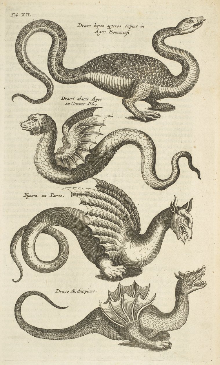 Ficha XII, Criaturas míticas, Dragones, Ilustración de 