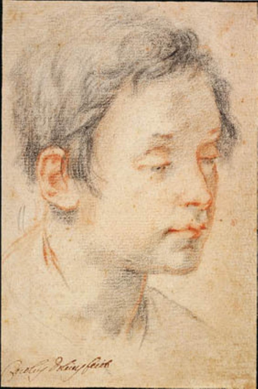 Cabeza de un joven girada a la derecha de Matteo Rosselli
