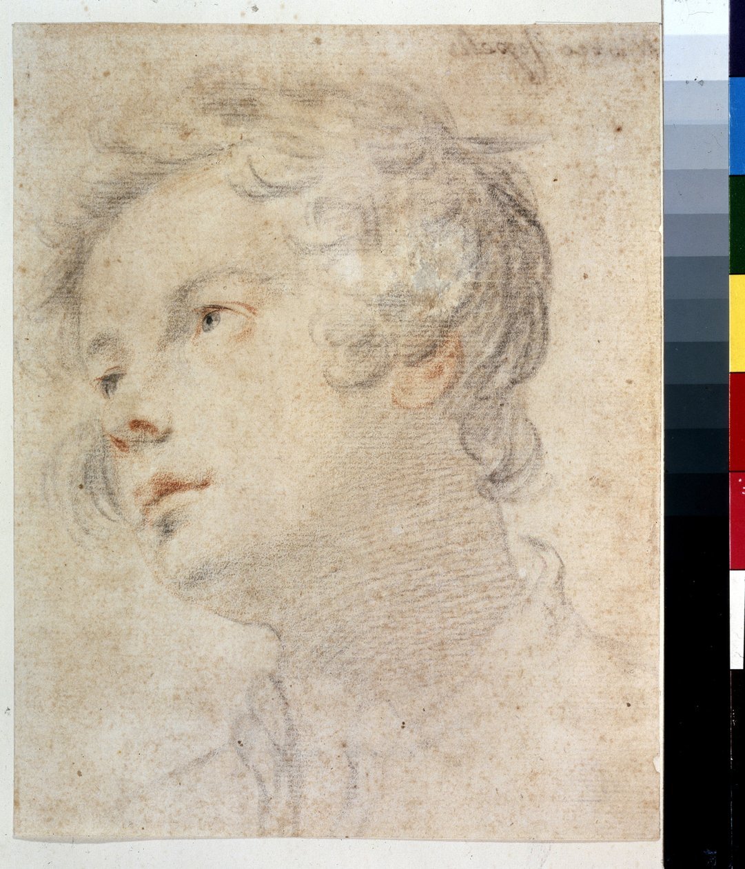 Cabeza de un niño. Pintura de Matteo Rosselli (1578-1650). Tiza y tiza roja sobre papel de Matteo Rosselli