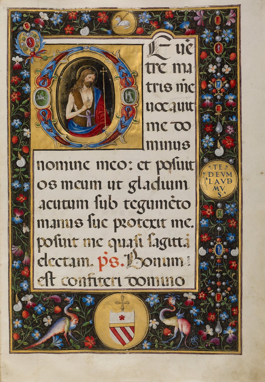 Inicial D: San Juan Bautista de Matteo da Milano
