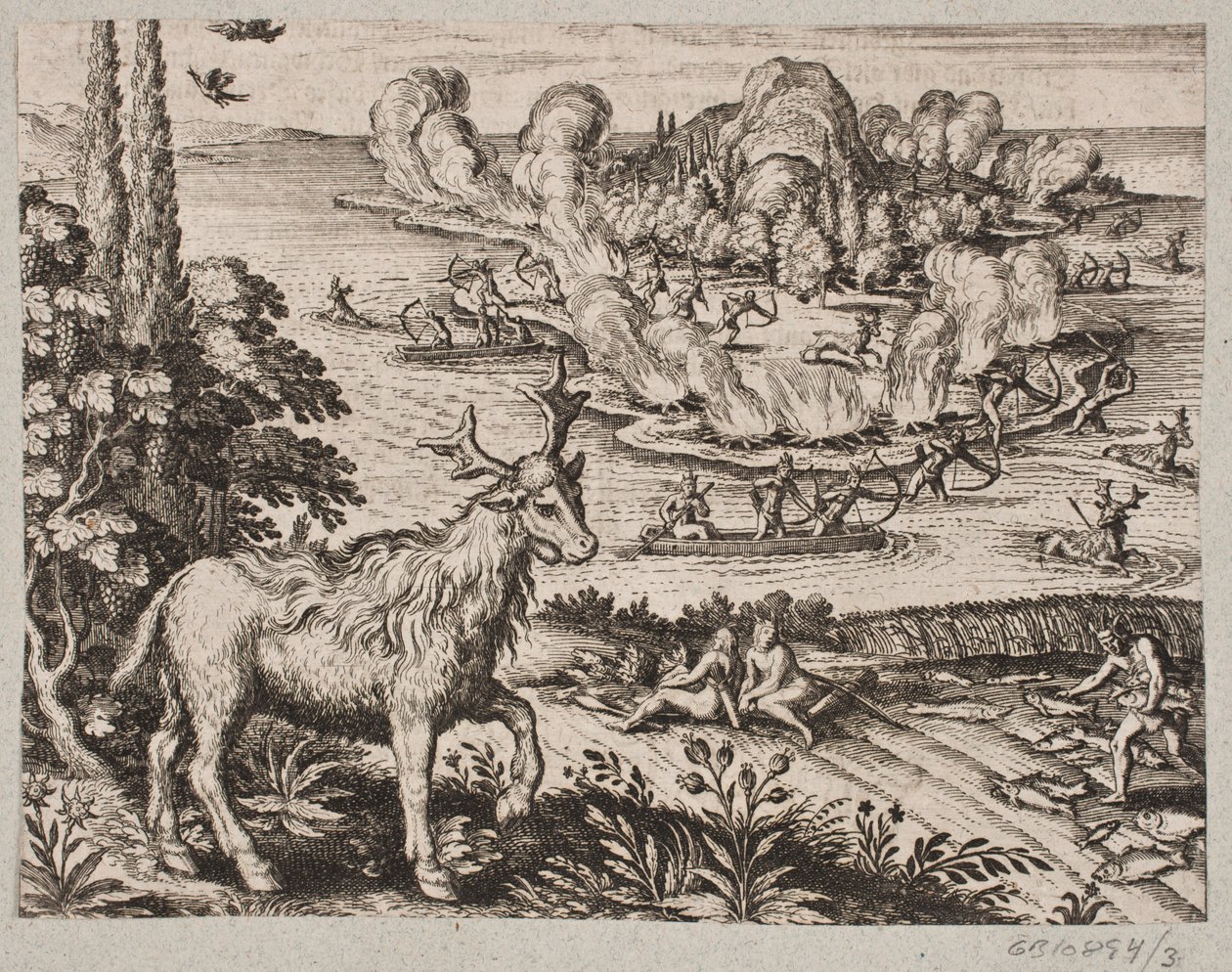 Aquí no puedo evitar pensar en el ser muy maravilloso que los nativos llaman Mosse de Matthäus Merian d.Æ.