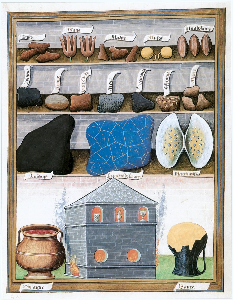 Le Livre des Simples Medecines, finales del siglo XV, principios del XVI (pergamino) de Matthaeus Platearius