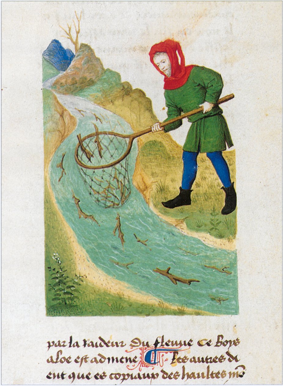 Le Livre des simples medecines - traducción al francés del manuscrito latino del siglo XII de Matthaeus Platearius (pergamino) de Matthaeus Platearius