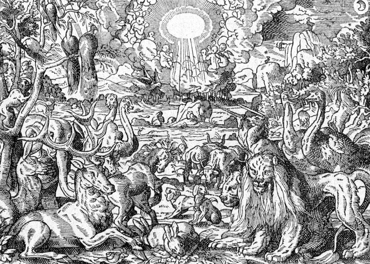 Paradise de Matthaus the Elder Merian