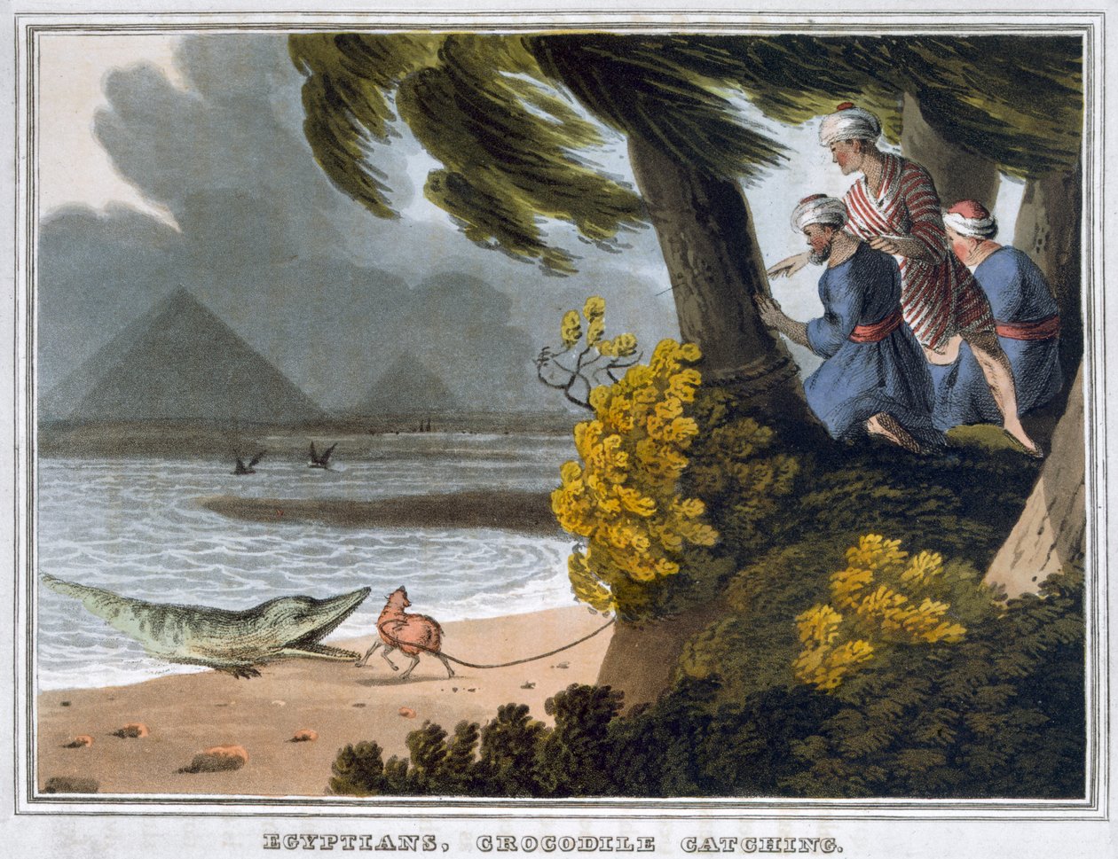 Egipcios, captura de cocodrilos, 1813 de Matthew Dubourg