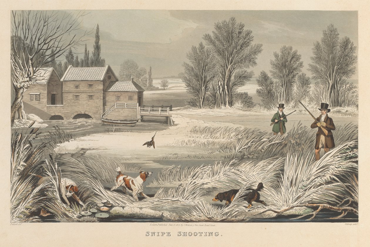 Tiro al agachadiza de Matthew Dubourg