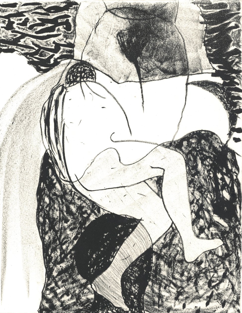 Libro de artista "Des Bêtes" 3, 2018 (litografía) de Matthew Hilton