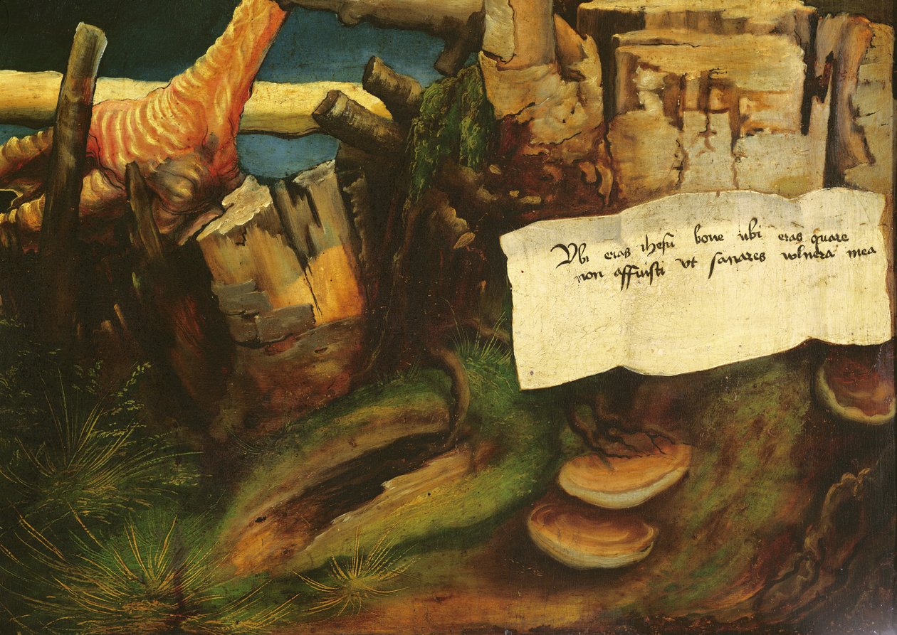 Retablo de Isenheim (detalle de la tentación de San Antonio) de Matthias Grünewald