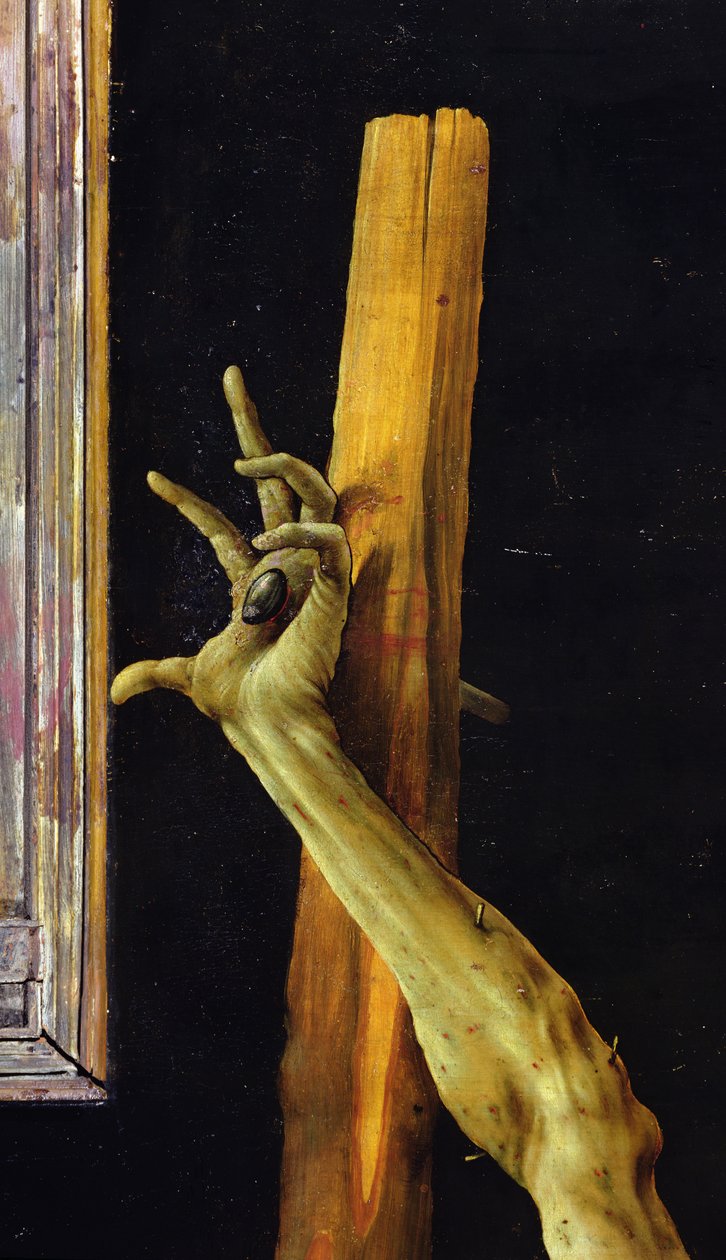 Retablo de Isenheim, cerrado (detalle de la mano izquierda de Cristo) de Matthias Grünewald