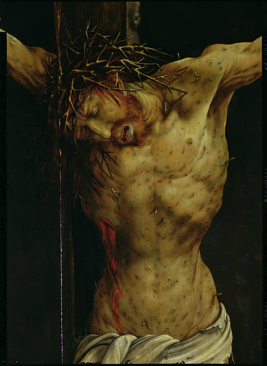 La Crucifixión del Retablo de Isenheim, detalle del torso de Cristo, c.1512-16 (detalle) de Matthias Grünewald