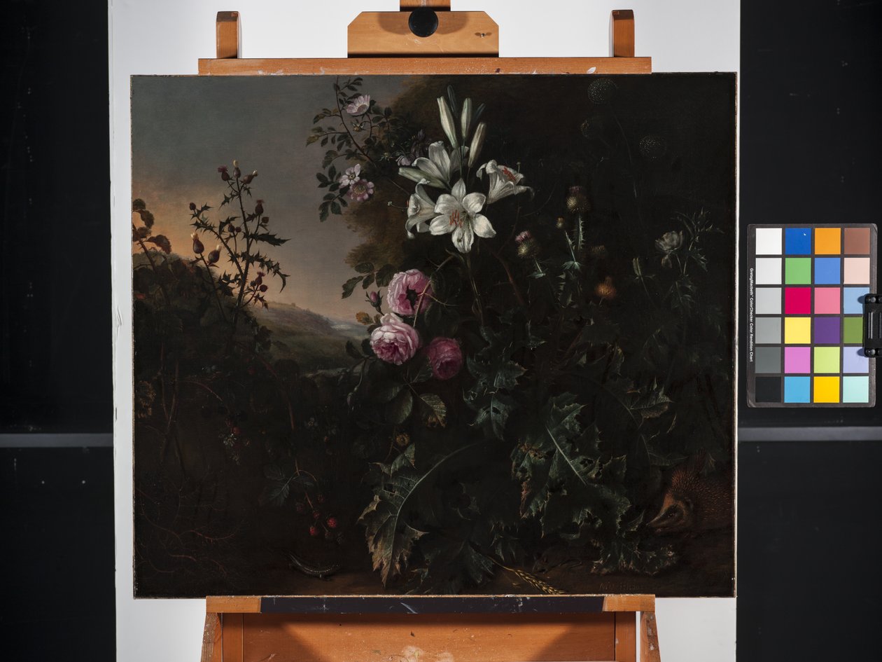 Naturaleza muerta (óleo sobre lienzo) de Matthias Withoos