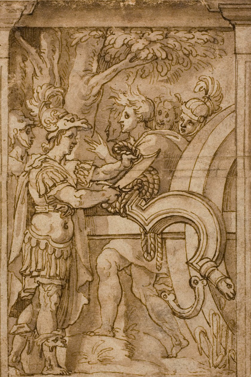 Alejandro corta el nudo gordiano de Maturino da Firenze