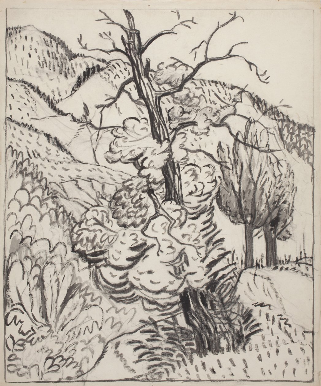 Tree on Mountainside, c.1930 (pincel, tinta y carboncillo sobre papel de estraza blanco) de Maud Hunt Squire