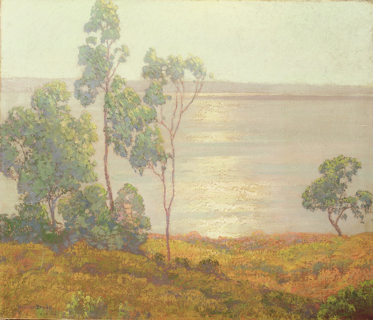 El sol de la mañana, San Diego de Maurice Braun