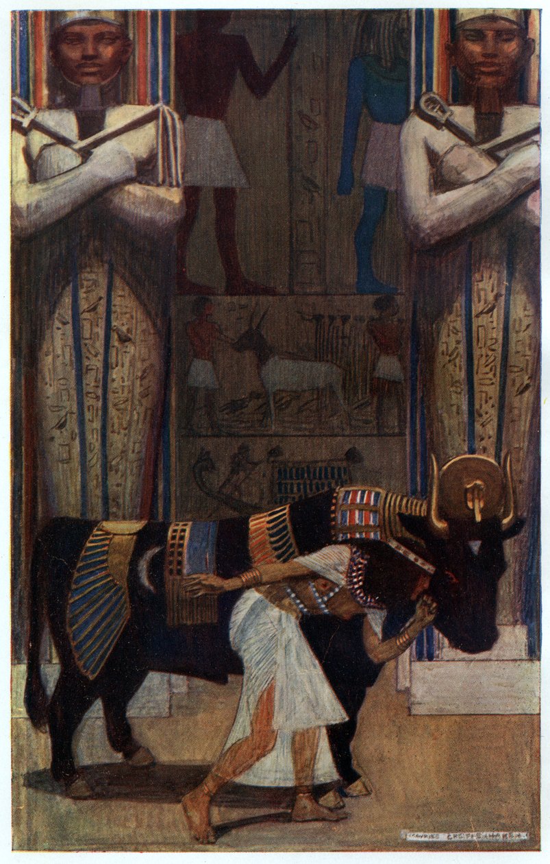 La esposa joven y el toro de baño, ilustración de 