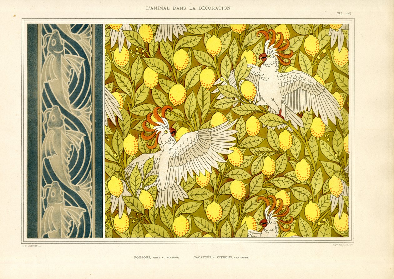 Patrón decorativo con cacatúas y limones (litografía) de Maurice Pillard Verneuil