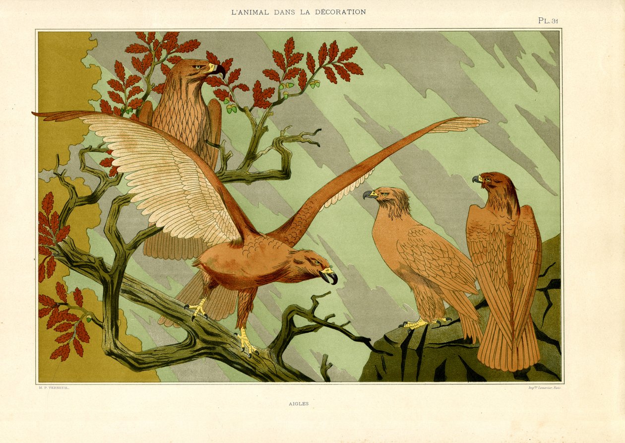 Águilas en representación naturalista Art Nouveau (litografía) de Maurice Pillard Verneuil