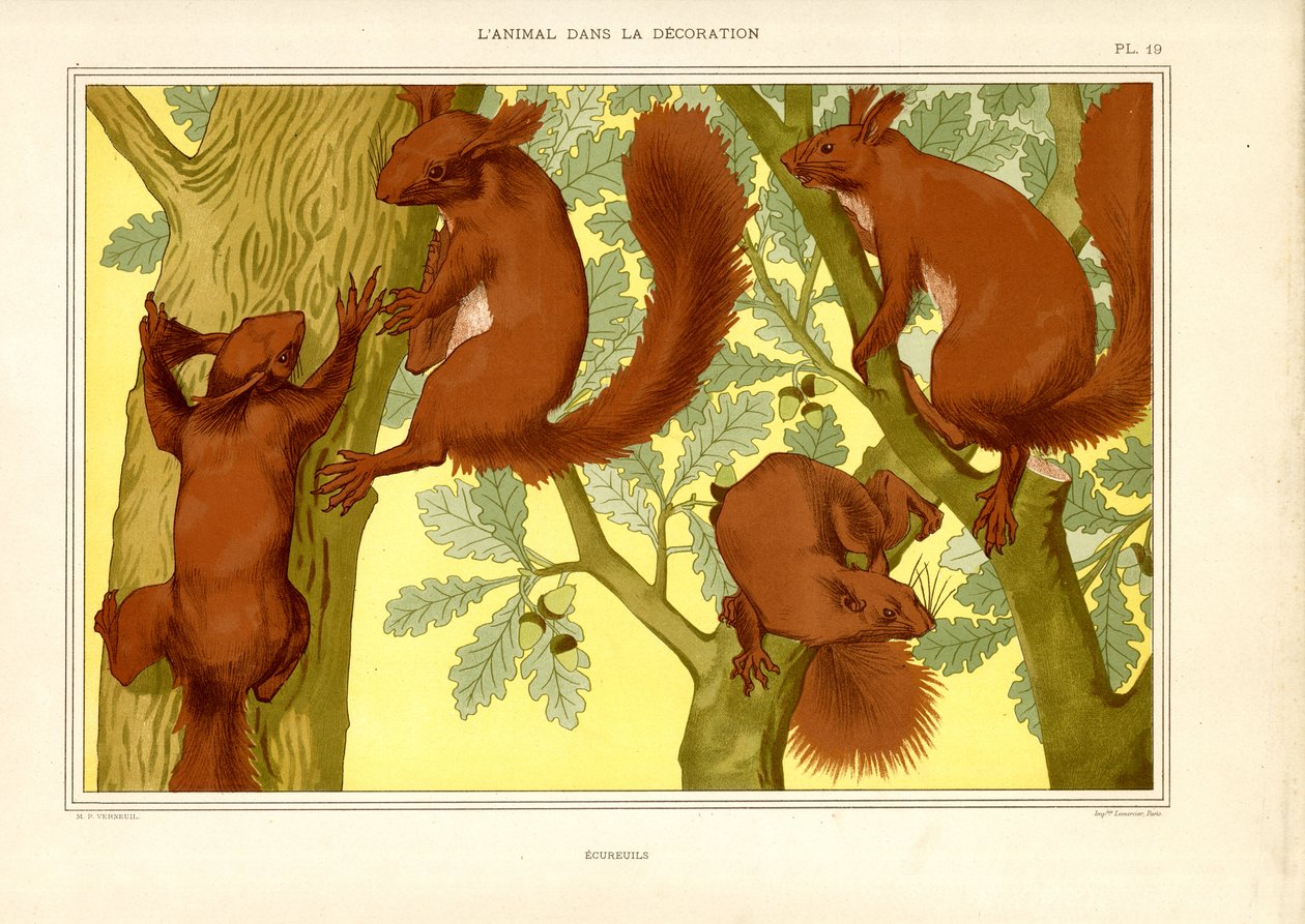 Ardillas en un roble (litografía) de Maurice Pillard Verneuil