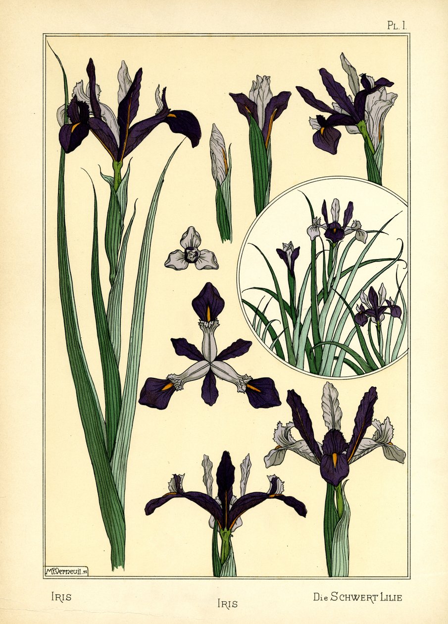 El Iris (litografía en color) de Maurice Pillard Verneuil