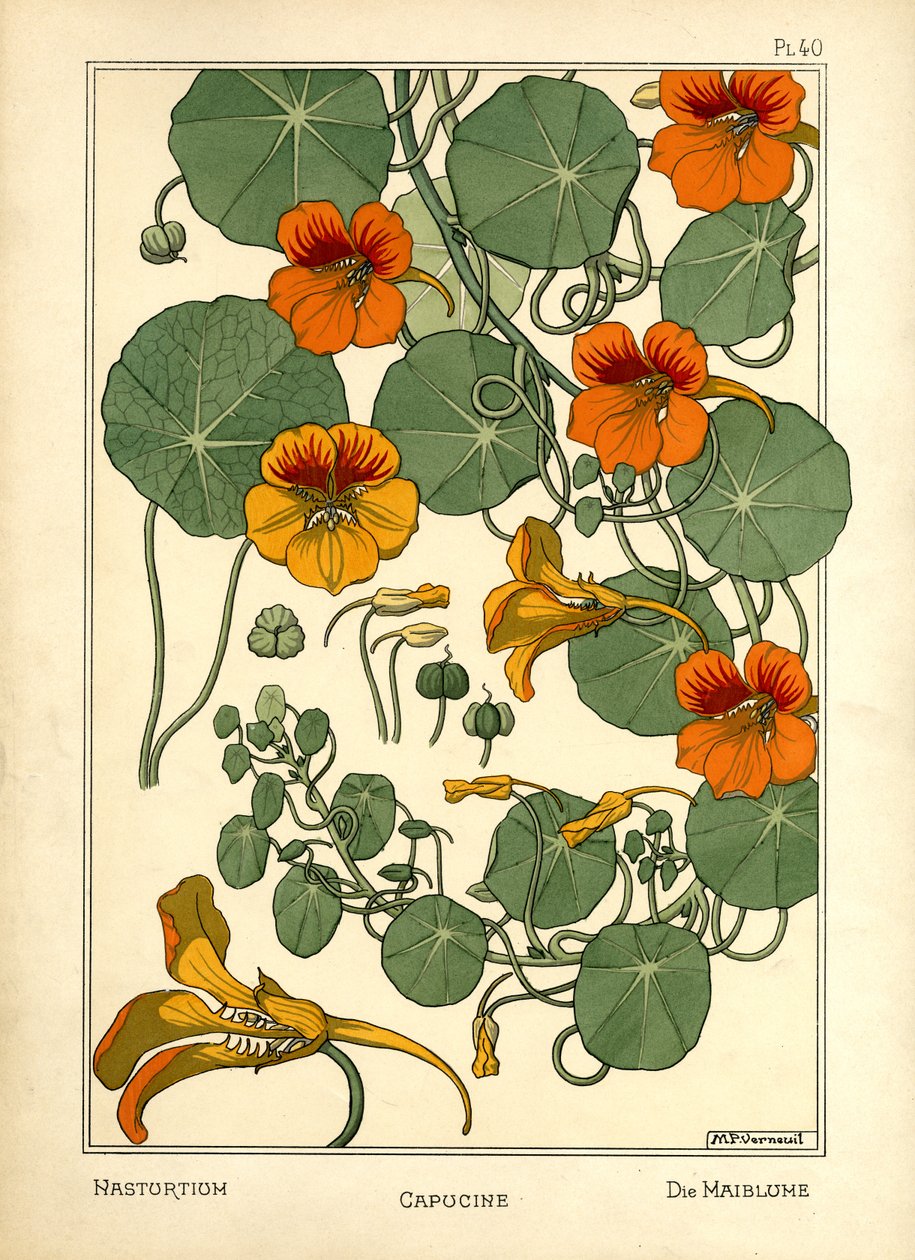 La capuchina (litografía en color) de Maurice Pillard Verneuil