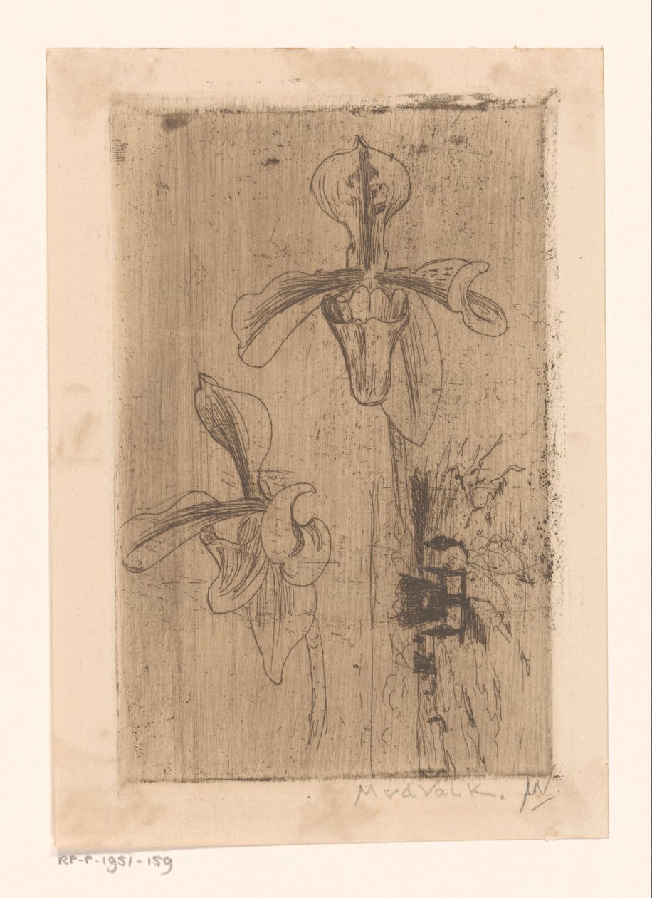 Dos orquídeas y un carro en la playa de Maurits van der Valk (signed by artist)