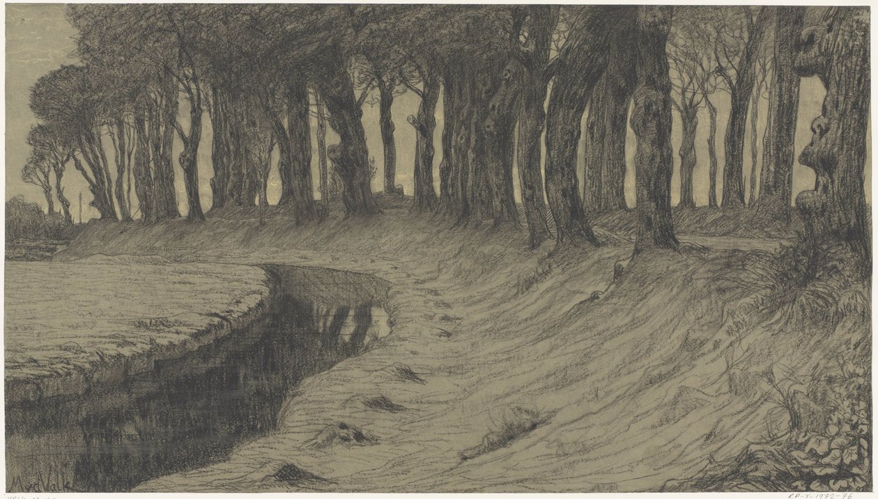 Árboles a lo largo de una carretera sobre un terraplén o talud de Maurits van der Valk