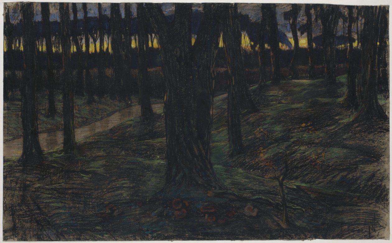 Vista del bosque al atardecer de Maurits van der Valk