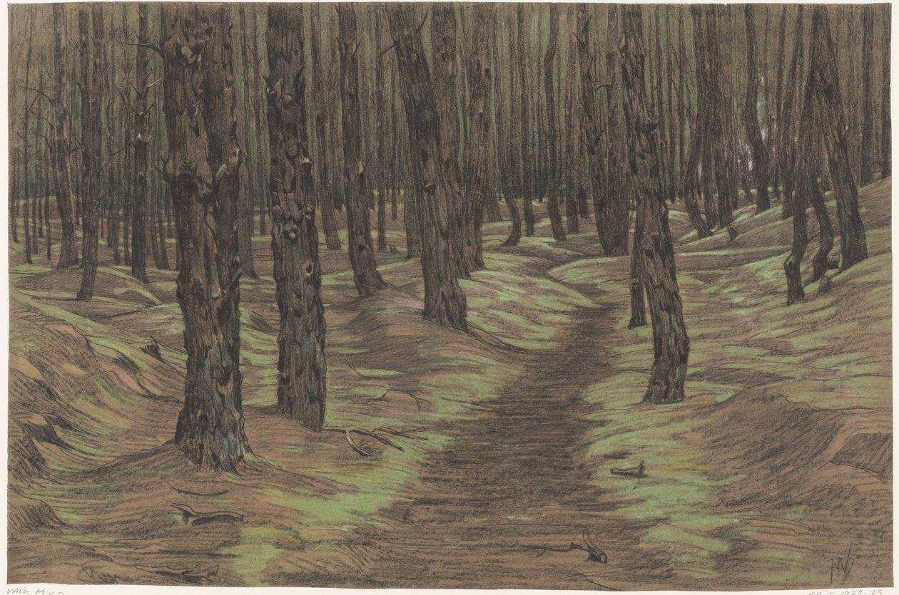 Bosque de pinos de Maurits van der Valk
