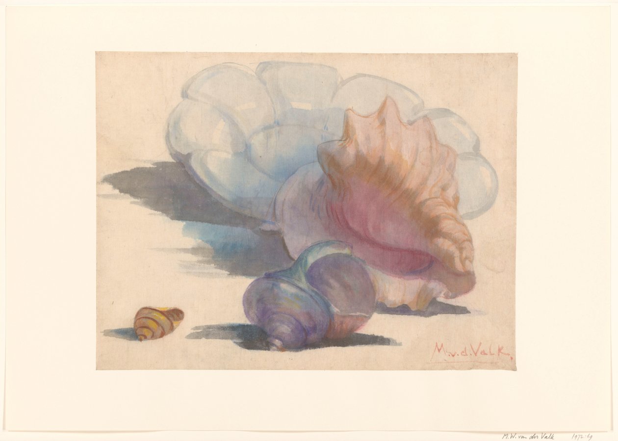 Tres conchas en un plato plisado de Delft de Maurits van der Valk